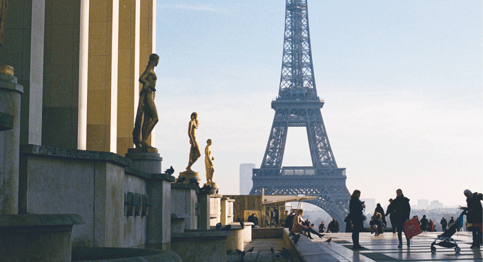 新2会员管理·(中国)官方网站