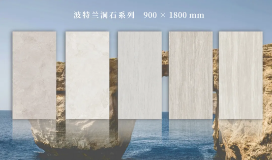 新2会员管理·(中国)官方网站