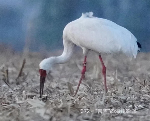2ٷվ,Ұ׷,׷,׷