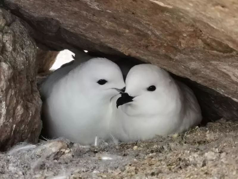 2ٷվ,Ұ׷,׷,׷
