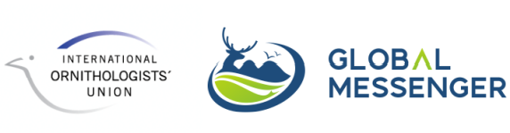 ÐÂ2¹Ù·½ÍøÕ¾,ºþÄÏÒ°Éú¶¯Îï×·×Ù,ºþÄÏÎÀÐÇ×·×ÙÆ÷,ºþÄÏ×·×ÙÆ÷ ÐÂ2¹Ù·½ÍøÕ¾,ºþÄÏÒ°Éú¶¯Îï×·×Ù,ºþÄÏÎÀÐÇ×·×ÙÆ÷,ºþÄÏ×·×ÙÆ÷