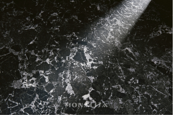 新2会员管理·(中国)官方网站